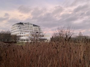 IMG_2642.JPG