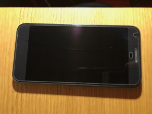 IMG_4066.jpeg