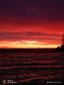 IMG_20200123_164735.jpg
