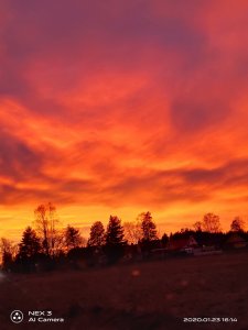 IMG_20200123_161426.jpg