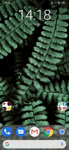 Screenshot_2020-01-26-14-18-56-766_com.teslacoilsw.launcher.jpg
