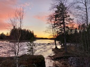 103F6C8E-8467-443E-9094-C077F587DB49.jpeg