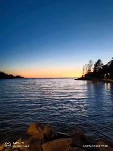 IMG_20200202_171221.jpg