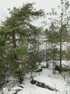 IMG_20200204_122636.jpg
