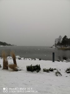 IMG_20200204_131029.jpg
