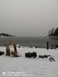 IMG_20200204_131032.jpg