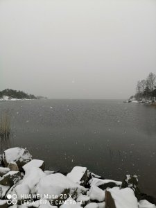 IMG_20200204_131042.jpg