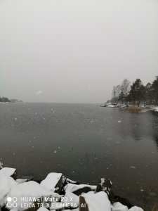 IMG_20200204_131047.jpg