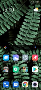 Screenshot_2020-02-14-15-00-48-606_com.miui.home.jpg