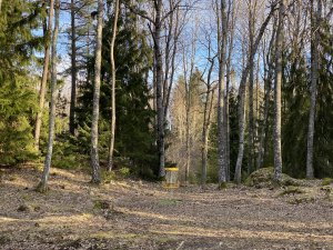 IMG_7313.jpg