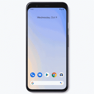 10-quickly-access-payments-emergency-info-en-1.gif