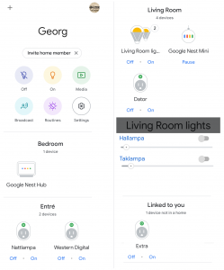 Google Assistant Map.png