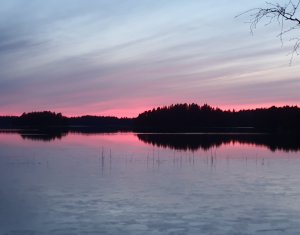IMG_20200307_111841_197.jpg