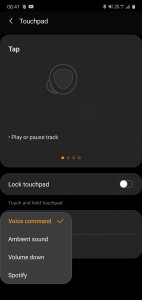Screenshot_20200311-084148_Galaxy Buds+.jpg