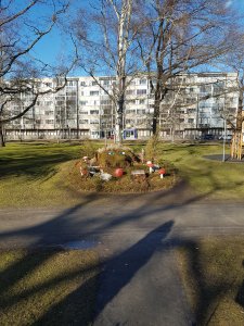 20200311_145254.jpg