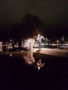 20200311_203653.jpg