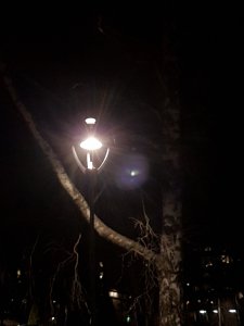 20200311_204309.jpg