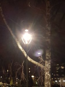 20200311_204304.jpg