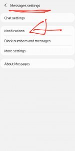 Screenshot_20200312-173700_Messages.jpg