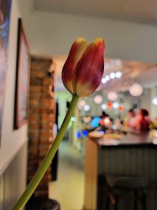 20200313_202315.jpg