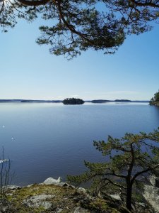 IMG_20200314_121016.jpg