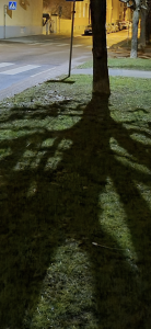 20FD91B3-7165-4315-B73D-F55FF49D40F3.png
