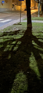 864C18FC-5556-435D-887B-49EE0DC57AA4.png