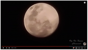 Screenshot 2020-03-18 at 11.48.32.png