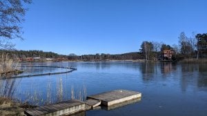 IMG_20200322_112736.jpg