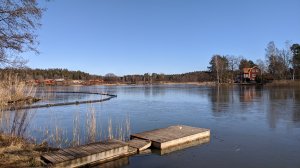 IMG_20200322_112745.jpg
