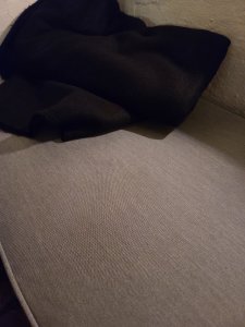 20200331_214419.jpg