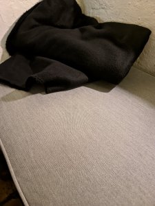 IMG_20200331_214425.jpg
