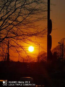 IMG_20200406_193637.jpg