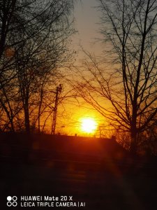 IMG_20200406_193626.jpg