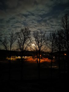 IMG_20200408_214729.jpg