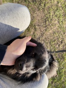 IMG_0858.jpeg