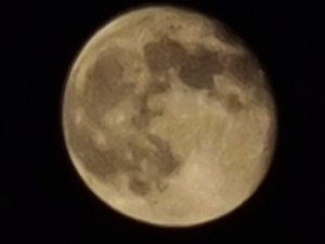 20200409_235829.jpg