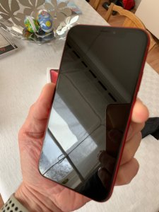 IMG_0020.jpeg