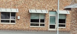 IMG_20200413_100201.jpg