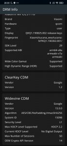 Screenshot_2020-04-17-20-33-18-692_com.androidfung.drminfo.jpg