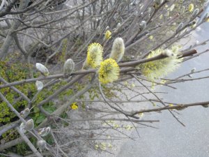 IMG_20200416_151644.jpg