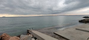 IMG_20200501_160735.jpg
