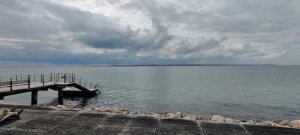 IMG_20200501_150712.jpg