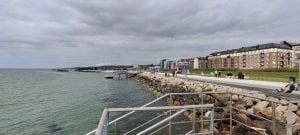 IMG_20200501_150340.jpg