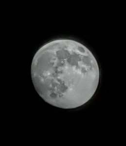IMG_20200506_083236.jpg