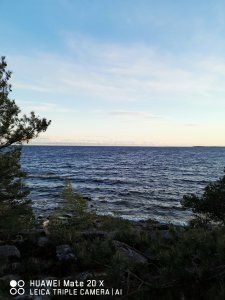 IMG_20200514_210121.jpg