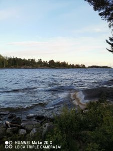 IMG_20200514_205537.jpg