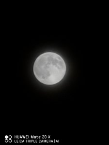 IMG_20200408_002521.jpg