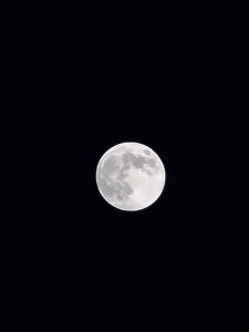 57DD5E10-DBF9-441D-A291-B6D5010C96AC.jpeg