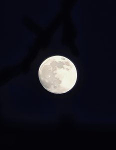 1D8E57DE-835D-4C9B-BC4A-8CBEAE8BC213.jpeg